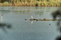 30.9.2012 Saline di Priolo (181)